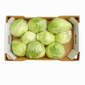 Lettuce-Iceberg (5Kg Box)