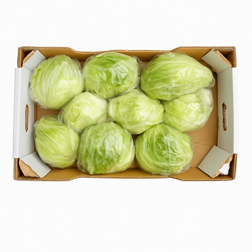 Lettuce-Iceberg (5Kg Box)