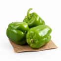 Capsicum Green (KG)