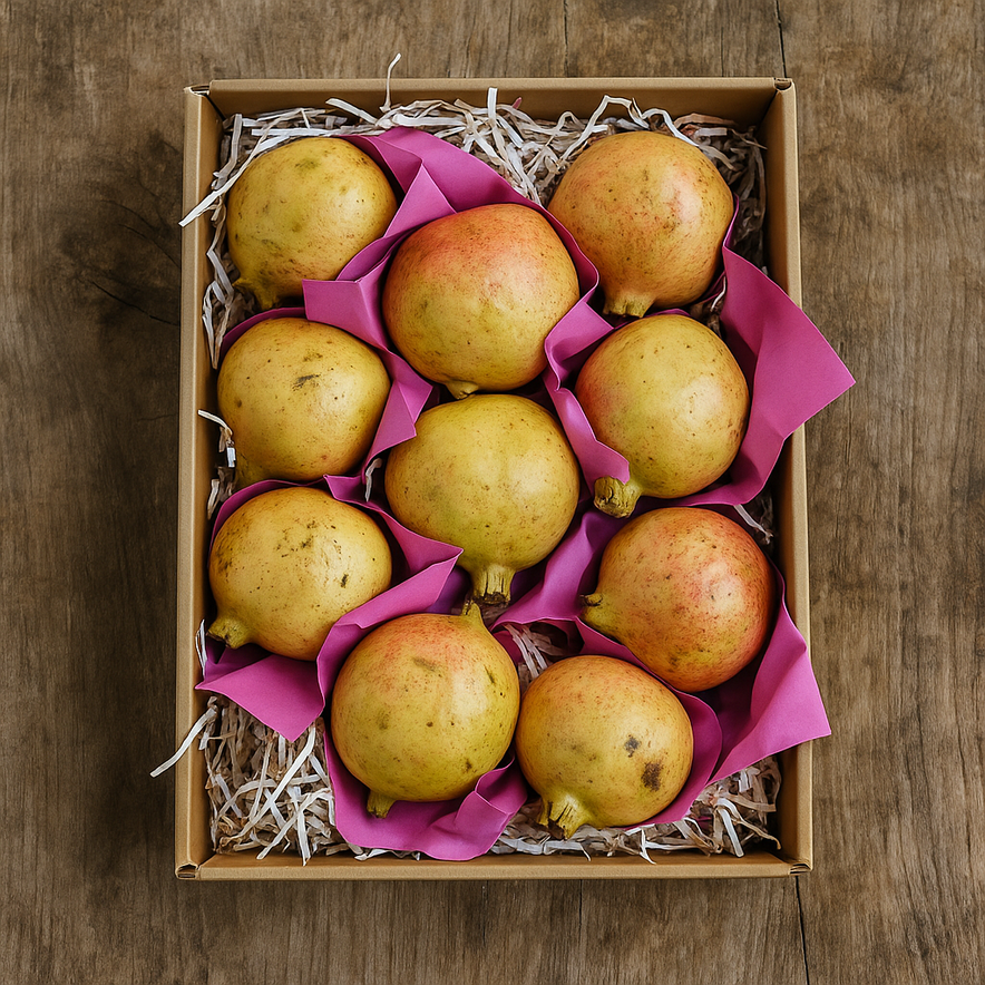 Pomegranate Yemen (Queen Size)