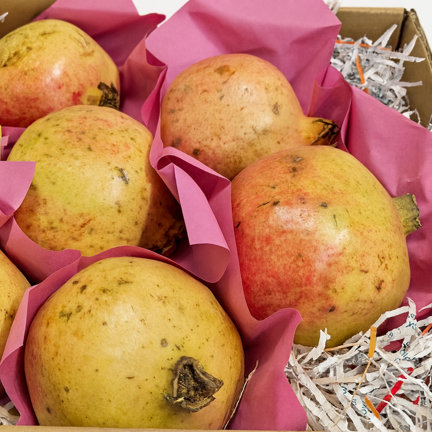 Pomegranate Yemen (Queen Size)