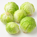 Lettuce(Iceberg)