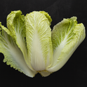 Lettuce(Romaine)