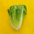 Lettuce/Romaine (1 Kg Bunch)