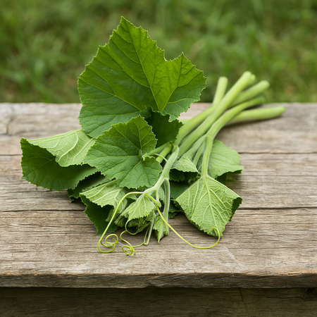 Pumpkin Leaves