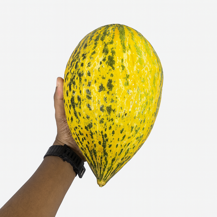 Santa Claus Melon/Sapo Melon