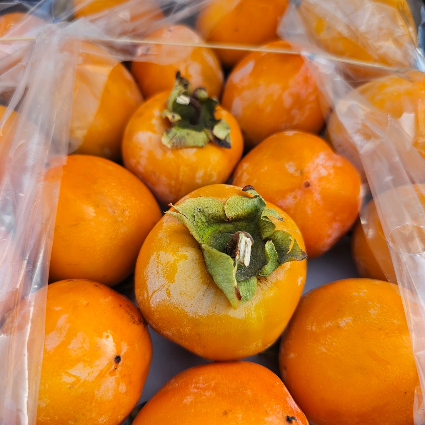 Kaka Fruit/Persimmon(Fuyu)
