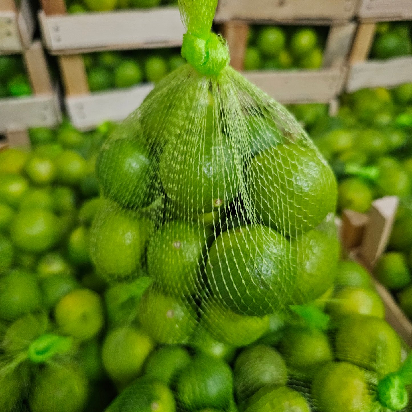 Lemon Banathi (Vietnam)