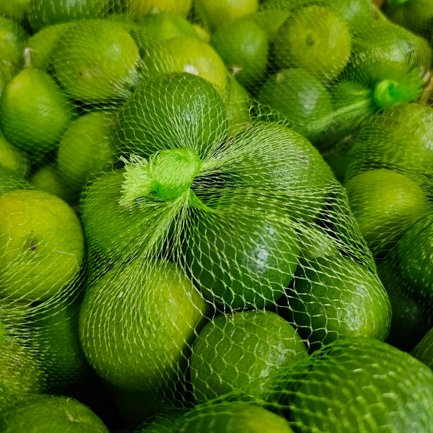 Lemon Banathi (Vietnam)