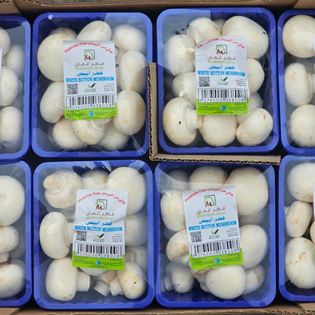 White Button Mushroom (8 Piece Box)
