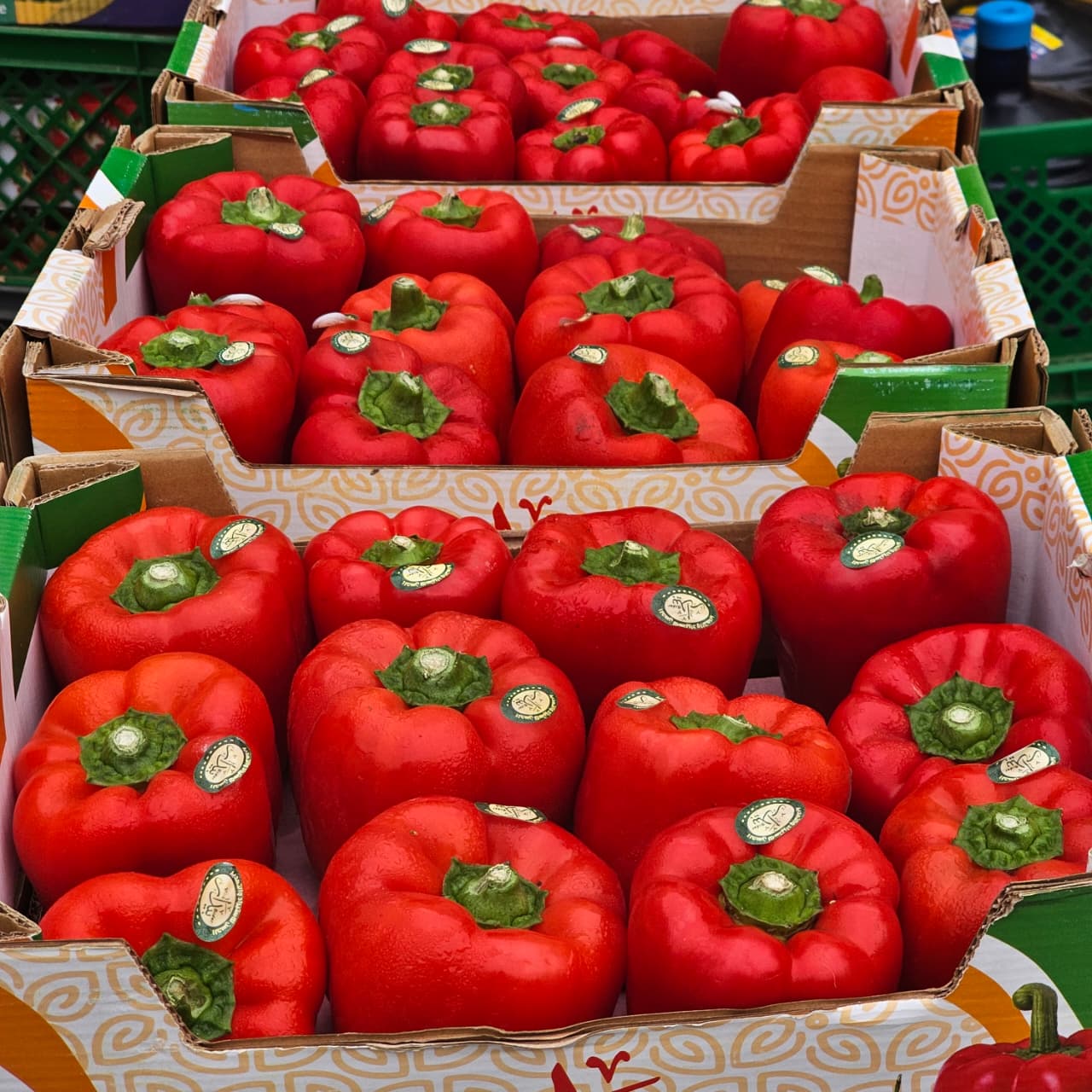 Capsicum Red (4Kg Box)