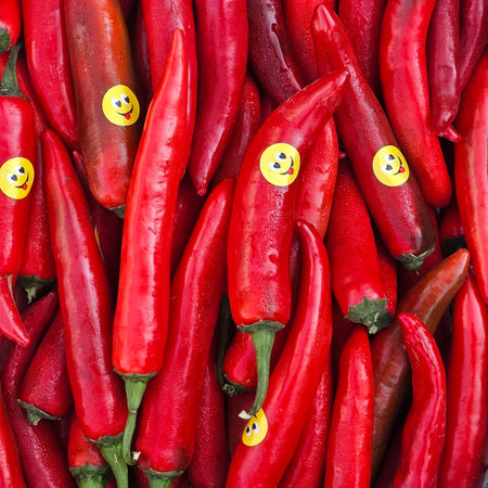 Red Chili-Egypt (4Kg Box)