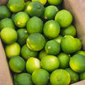 Lemon Banathi (Vietnam) (5Kg Box)